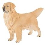 Comparatif des meilleurs produits pour mini golden retriever : le guide ultime de l'élevage