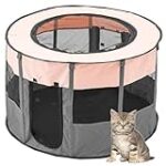 Les meilleurs produits pour animaux de compagnie à découvrir à Avignon dans un parc animalier.