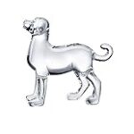 Luxation du cristallin chez le chien : Comparaison des meilleurs produits pour soulager votre compagnon à quatre pattes Luxation du cristallin chez le chien : Comparaison des meilleurs produits pour soulager votre compagnon à quatre pattes