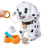 Les solutions pour apaiser un vieux chien qui aboie la nuit sans raison : Analyse et comparaison des produits pour animaux de compagnie Les solutions pour apaiser un vieux chien qui aboie la nuit sans raison : Analyse et comparaison des produits pour animaux de compagnie