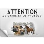 Les Meilleurs Produits pour Accueillir Votre Nouveau Staffie Chiot Adopté