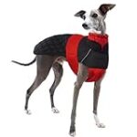 Les meilleures offres de produits pour chiots whippet à vendre : Analyse et comparaison des produits pour animaux de compagnie