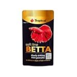 Les 5 meilleurs produits pour Betta Splendens : Comparaison et analyse complète