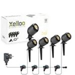 Comparatif des avis Feelloo pour choisir le meilleur produit pour votre animal de compagnie