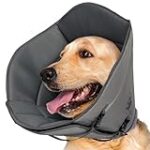 Comparatif des prix des collerettes pour chien en pharmacie : quel modèle choisir pour votre animal de compagnie ? Comparatif des prix des collerettes pour chien en pharmacie : quel modèle choisir pour votre animal de compagnie ?