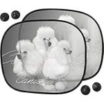 Les Meilleurs Produits Pour Animaux de Compagnie Adaptés au Grand Caniche Blanc Les Meilleurs Produits Pour Animaux de Compagnie Adaptés au Grand Caniche Blanc