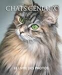 Alzheimer chez les chats : les meilleurs produits pour accompagner nos compagnons Alzheimer chez les chats : les meilleurs produits pour accompagner nos compagnons