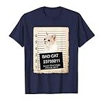 Comparatif des accessoires indispensables pour votre chat Munchkin à vendre