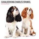 Prix Cavalier King Charles LOF : Comparaison des meilleurs produits pour animaux de compagnie