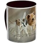 Comparaison des meilleures offres de produits pour Fox Terrier à poil dur à vendre par des particuliers