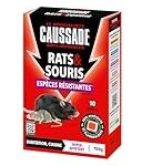 Découvrez en combien de temps un rat empoisonné peut mourir : comparaison des meilleurs produits pour animaux de compagnie