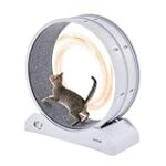 Les meilleures roues d'exercice pour chat : analyse et comparaison des produits les plus performants