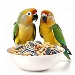 Comparaison des prix des inséparables : Trouvez le meilleur rapport qualité-prix pour vos oiseaux !