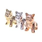 Mini bouledogue : Guide complet pour choisir les meilleurs produits pour votre petit compagnon à quatre pattes