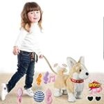 Le titre pourrait être : Comparatif des meilleurs produits pour corgis à vendre : Tout ce dont votre chien a besoin ! Le titre pourrait être : Comparatif des meilleurs produits pour corgis à vendre : Tout ce dont votre chien a besoin !