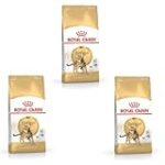 Comparatif des meilleurs produits pour Bengal adulte : Trouvez ce qu'il vous faut pour votre compagnon félin ! Comparatif des meilleurs produits pour Bengal adulte : Trouvez ce qu'il vous faut pour votre compagnon félin !