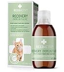 Les Meilleures Options d'Alimentation Liquide pour Chat Malade : Analyse et Comparaison des Produits pour Animaux de Compagnie