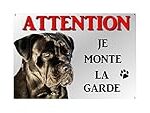Comparatif des meilleurs produits pour Cane Corso : catégorie 1 ou 2 - Le guide ultime pour choyer votre compagnon à quatre pattes
