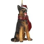 Les Couleurs du Berger Allemand : Guide d'Analyse et Comparaison des Meilleurs Produits pour Animaux de Compagnie