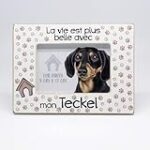 Les Meilleurs Produits Pour Teckel en Appartement: Guide d'Analyse et Comparaison