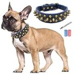 Guide d'achat : Bouledogue Français Bleu - Prix, Comparaison et Sélection des Meilleurs Produits pour Votre Animal de Compagnie