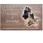 Les Meilleurs Produits pour Chiots Berger Belge Tervueren : Analyse et Comparaison