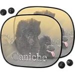 Les Meilleurs Produits pour Animaux de Compagnie pour un Grand Caniche Noir: Guide d'Analyse et de Comparaison