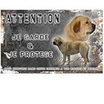 Les meilleures produits pour animaux de compagnie pour votre chien espagnol: Comparaison et analyse