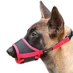 Comparatif des meilleures muselières obligatoires pour animaux de compagnie : Trouvez le modèle idéal !