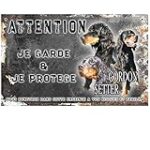 Les meilleurs produits pour Setter Gordon : Guide d'analyse et de comparaison pour les soins de votre animal de compagnie
