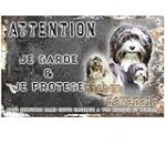 Les Meilleurs Produits pour un Bichon Havanais à Donner : Analyse et Comparaison