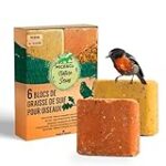 Comparatif des meilleurs pains de graisse pour oiseaux : guide d'achat pour animaux de compagnie