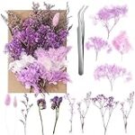 Analyse et comparaison des meilleurs produits pour animaux de compagnie : Fleur violette plumeau, l'accessoire idéal pour chouchouter vos compagnons!