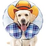 Analyse et comparaison des meilleurs produits pour animaux de compagnie : Combien coûte une pension pour chien ? Analyse et comparaison des meilleurs produits pour animaux de compagnie : Combien coûte une pension pour chien ?