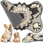 Adoption de chien dans le 64 : Comparatif des meilleurs produits pour votre nouveau compagnon à quatre pattes