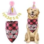 Les meilleurs cadeaux pour célébrer l'anniversaire de votre chien : Analyse et comparaison des produits essentiels Les meilleurs cadeaux pour célébrer l'anniversaire de votre chien : Analyse et comparaison des produits essentiels