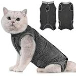 Comparaison des coûts de l'opération de luxation de la hanche chez les chats : Guide d'achat pour les meilleurs produits pour animaux de compagnie