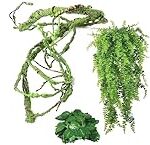 Guide complet pour le lézard dragon domestique : comparatif des meilleurs produits pour votre nouvel ami à écailles Guide complet pour le lézard dragon domestique : comparatif des meilleurs produits pour votre nouvel ami à écailles
