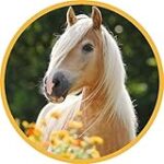 Comparaison des meilleurs produits pour chevaux : Découvrez la recette de gâteaux idéale pour votre compagnon équin Comparaison des meilleurs produits pour chevaux : Découvrez la recette de gâteaux idéale pour votre compagnon équin