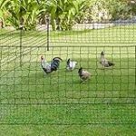 Les meilleurs filets enclos pour poules : analyse et comparaison des produits pour animaux de compagnie Les meilleurs filets enclos pour poules : analyse et comparaison des produits pour animaux de compagnie