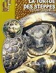 Comment distinguer le sexe d'une tortue : guide complet pour les propriétaires d'animaux de compagnie Comment distinguer le sexe d'une tortue : guide complet pour les propriétaires d'animaux de compagnie