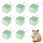 Dent de hamster : Comparatif des meilleurs produits pour le soin dentaire de votre animal de compagnie