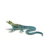 Que faire si mon chien a mangé un lézard : Comparaison des meilleurs produits pour animaux de compagnie Que faire si mon chien a mangé un lézard : Comparaison des meilleurs produits pour animaux de compagnie