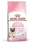 Analyse et Comparaison : Le Meilleur Aliment pour Chaton – Royal Canin Kitten 4 kg