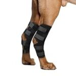 Mon chien a des difficultés à se tenir sur ses pattes arrière : comment choisir les meilleurs produits pour l'aider ?