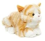 Top produits pour chatons roux et blanc : comparaison des meilleurs choix pour vos adorables compagnons félins