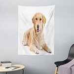 Les Meilleurs Produits pour Golden Retrievers de Couleur Sable: Analyse et Comparaison