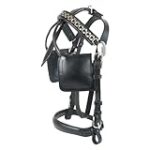 Comparaison des tarifs de transport en avion pour les chevaux : trouvez le meilleur moyen de voyager confortablement avec votre animal de compagnie !