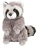 Comparaison des meilleures peluches raton laveur pour animaux de compagnie : guide d'achat complet