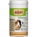 Guide d'achat : Les meilleurs produits pour la gestation du cochon d'Inde Guide d'achat : Les meilleurs produits pour la gestation du cochon d'Inde